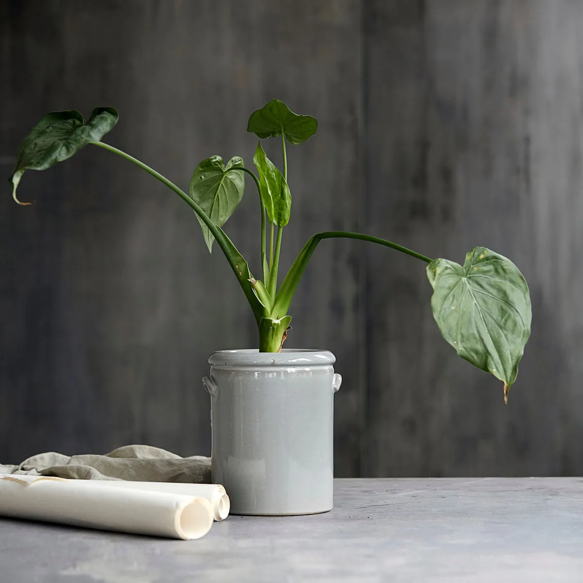 Ceramic Flowerpot or Utensil Pot - Light Grey - Two Sizes