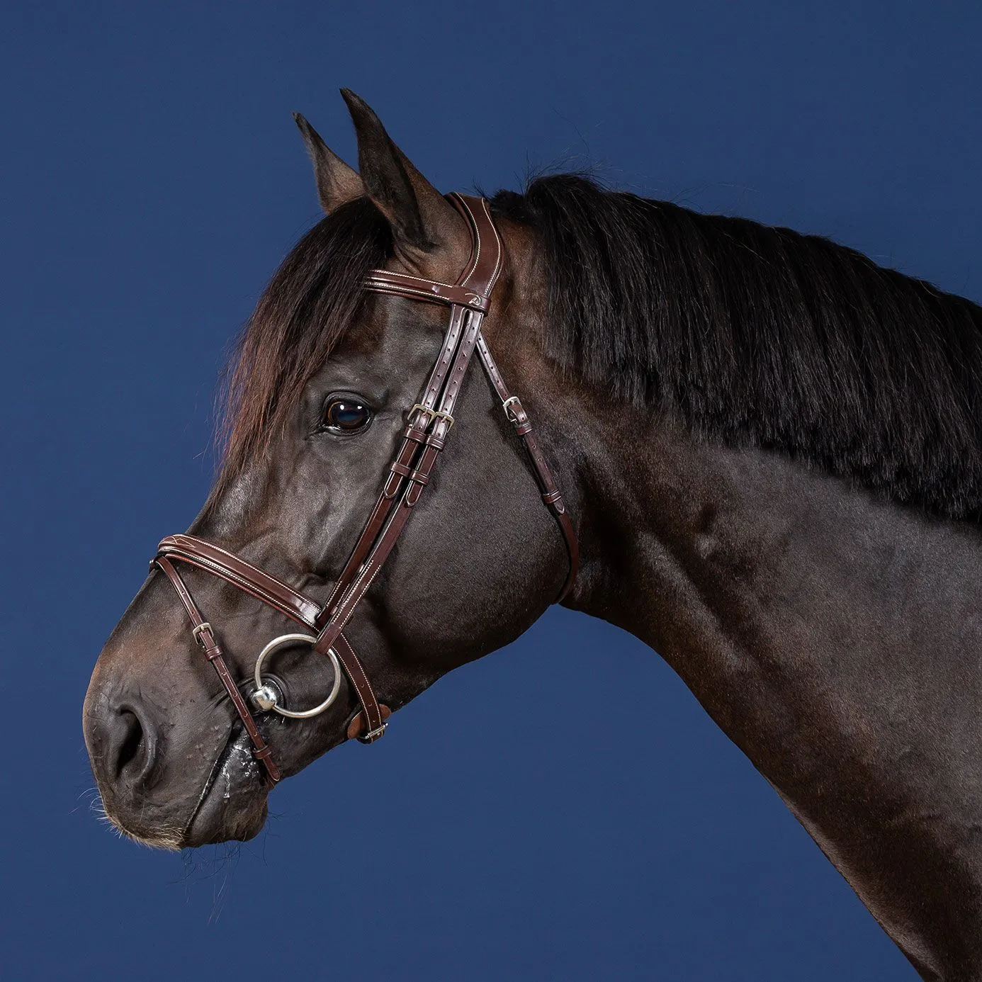 Dy'on US Collection Flash Noseband Bridle - Brown