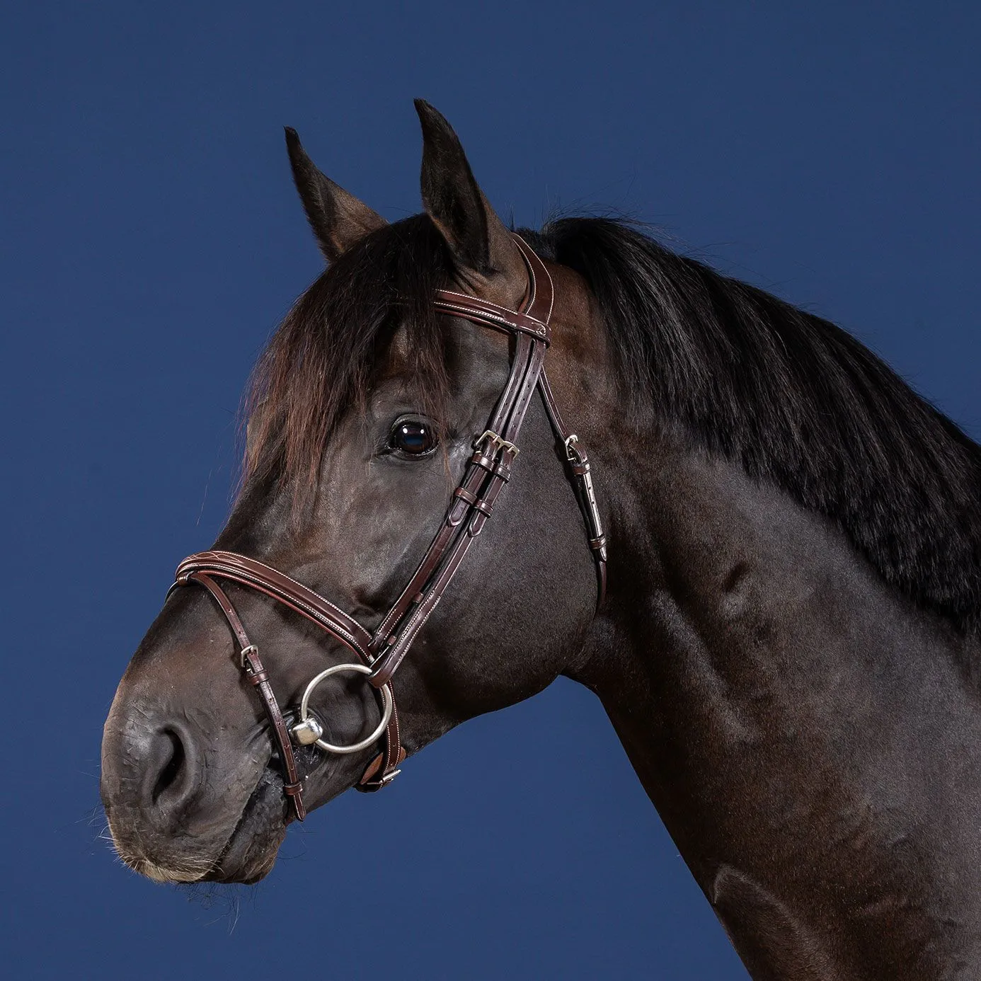 Dy'on US Collection Flash Noseband Bridle - Brown