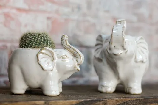 Elephant Pots