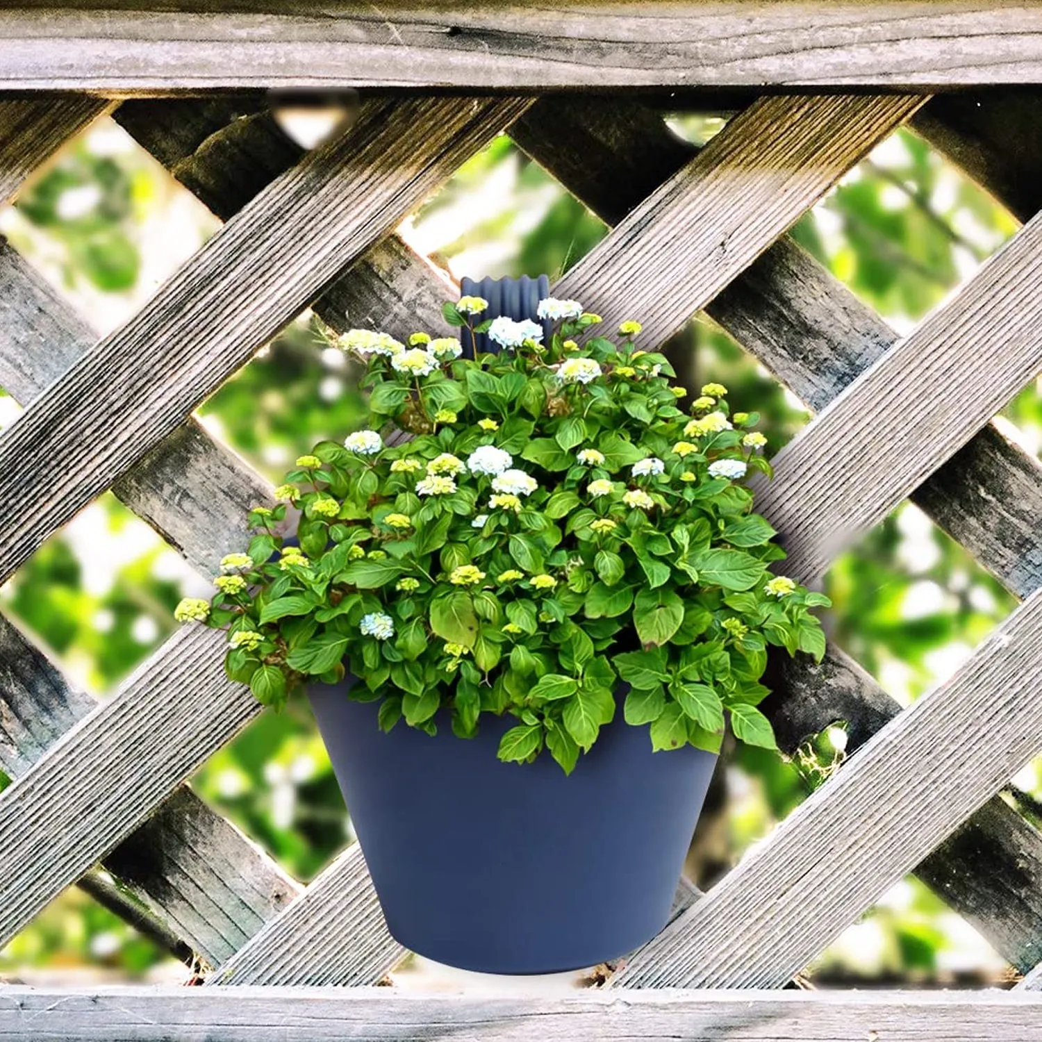 Hanging Planter Pot used for storing and holding plants and flowers in it and this is widely used in in all kinds of gardening and household places etc.