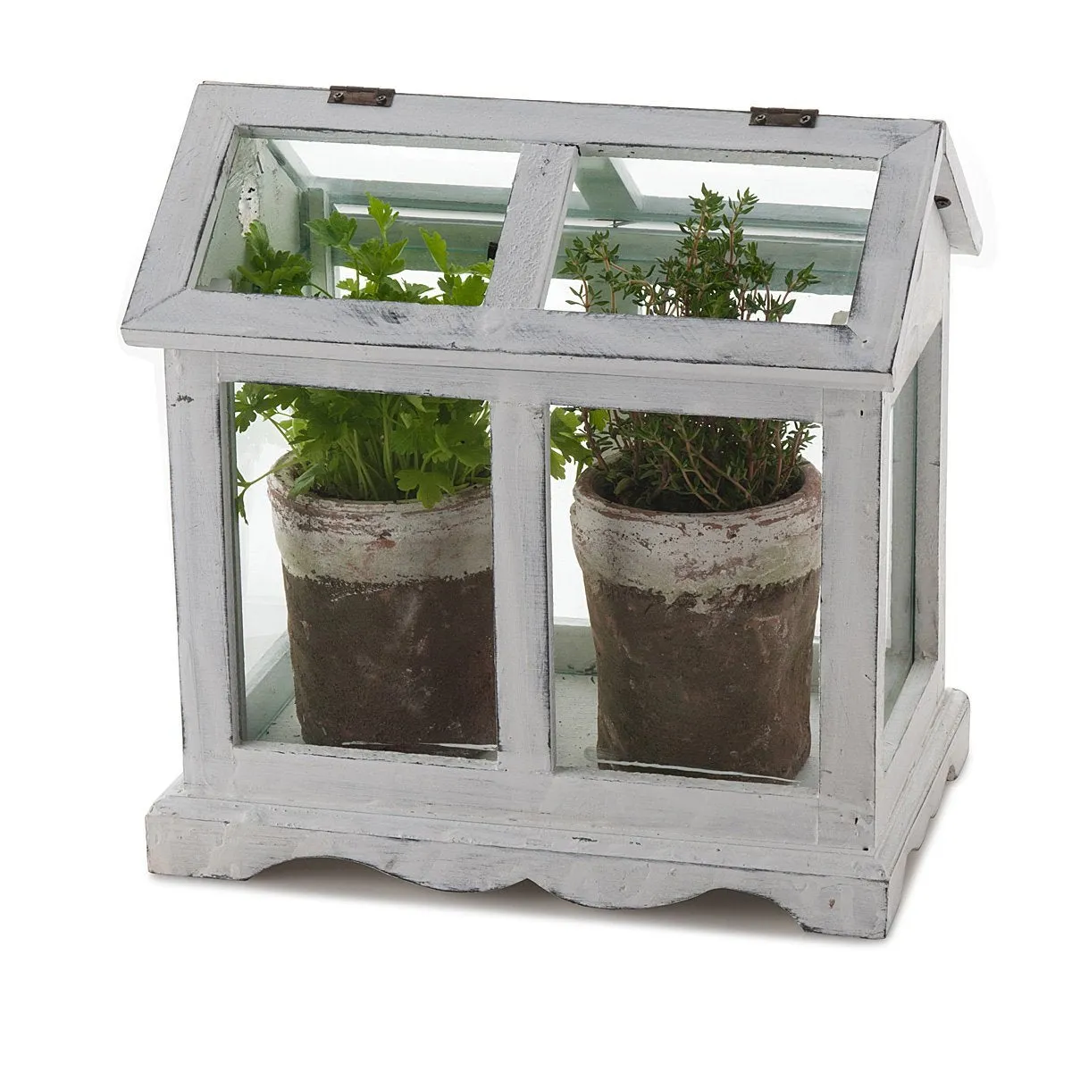 Mini Herb Greenhouse