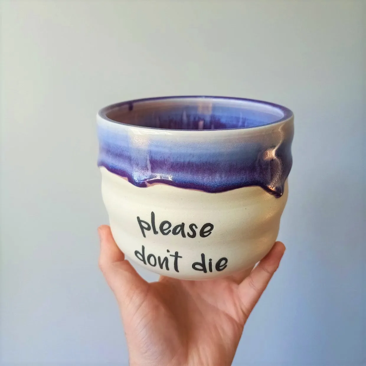 Please Don't Die Planter